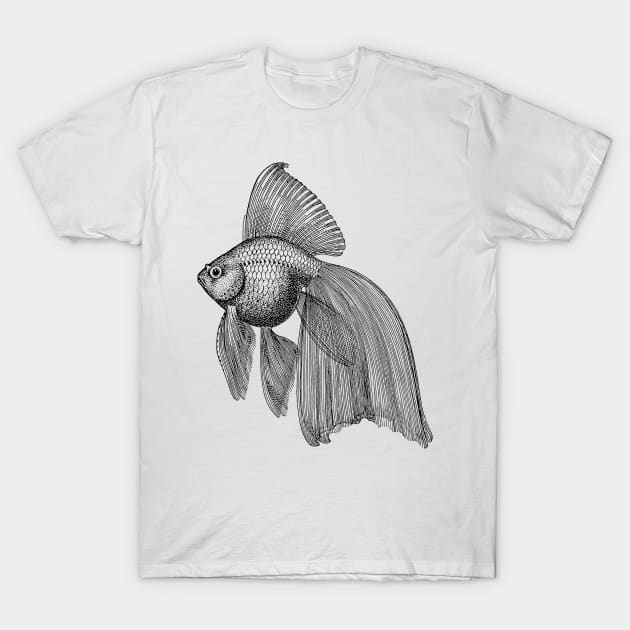 Goldfish Illustration | Pet Natural History T-Shirt by encycloart